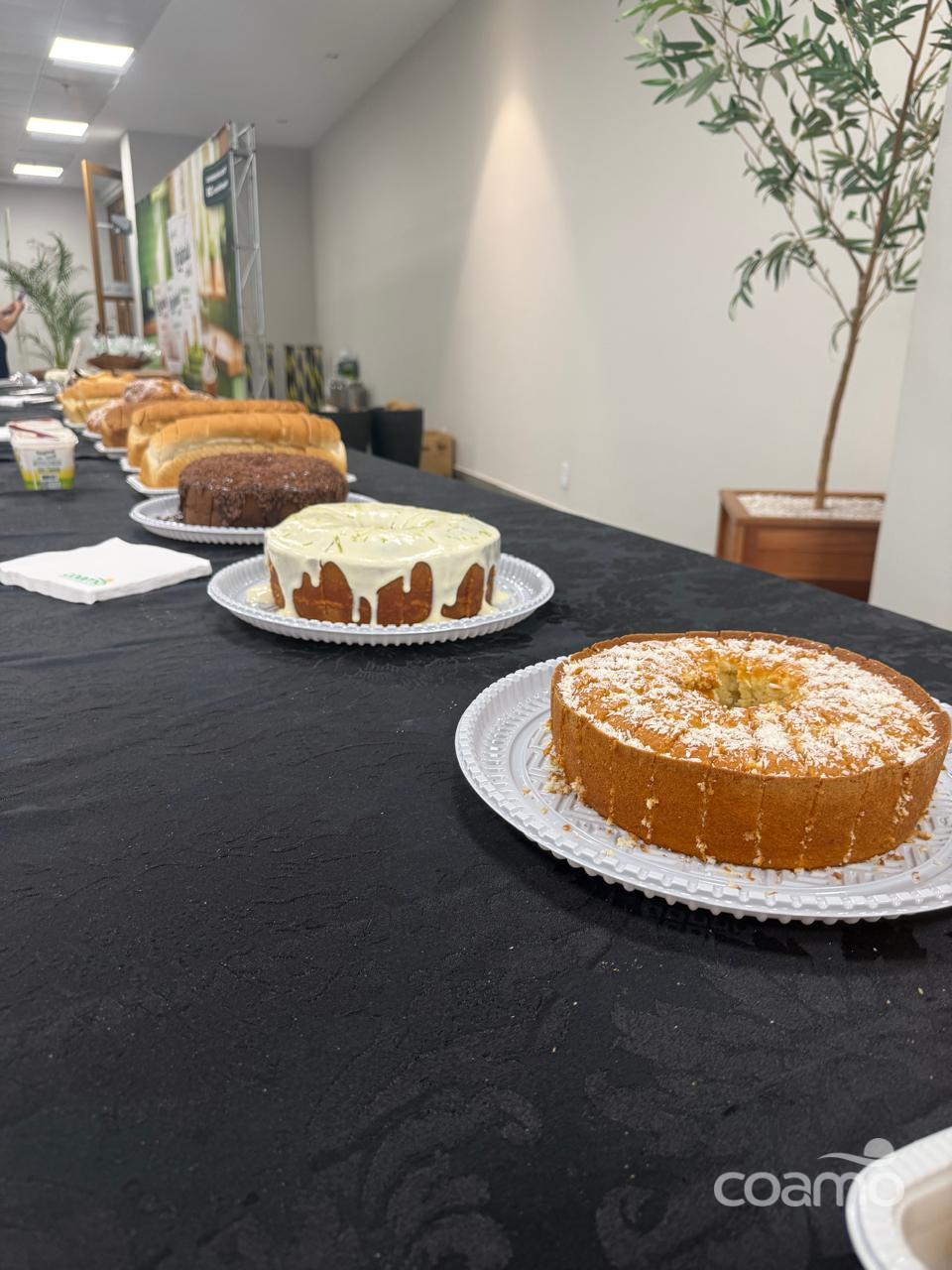 Visita ao Memorial Coamo promove integração e conhecimento entre funcionários e familiares